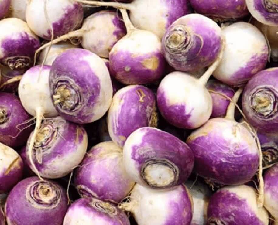 شلغم