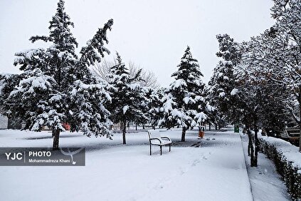 بارش برف در استان زنجان
