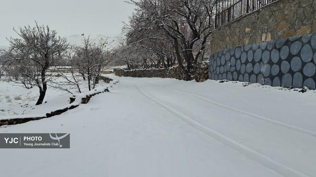 بارش زیبای برف در فردو+فیلم