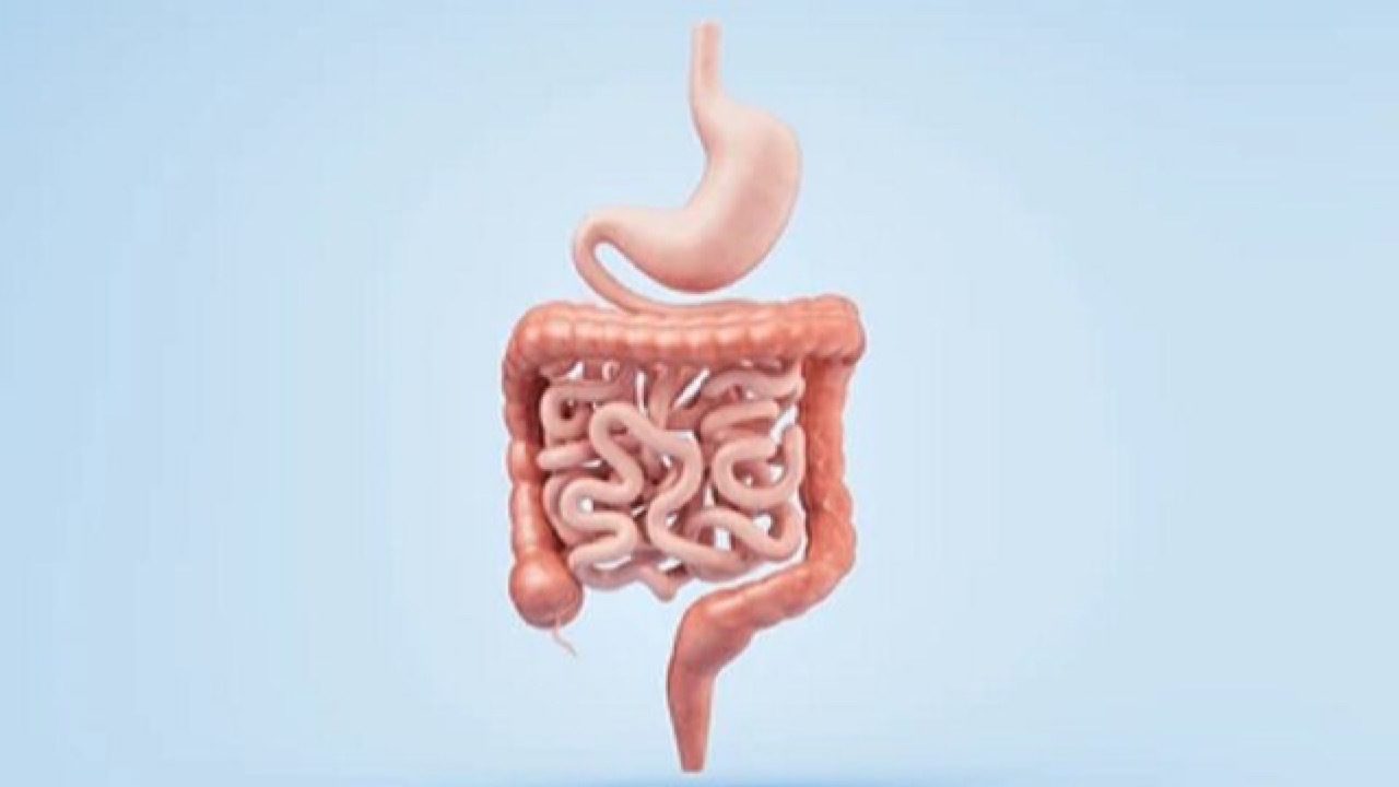 محاسبه سلامت روده با ماشین حساب