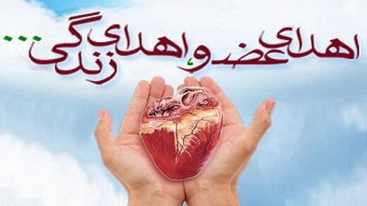 ثبت سی و هشتمین اهدای عضو  امسال در یزد