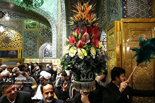 تعویض گل‌های ضریح حرم مطهر امام رضا (ع)