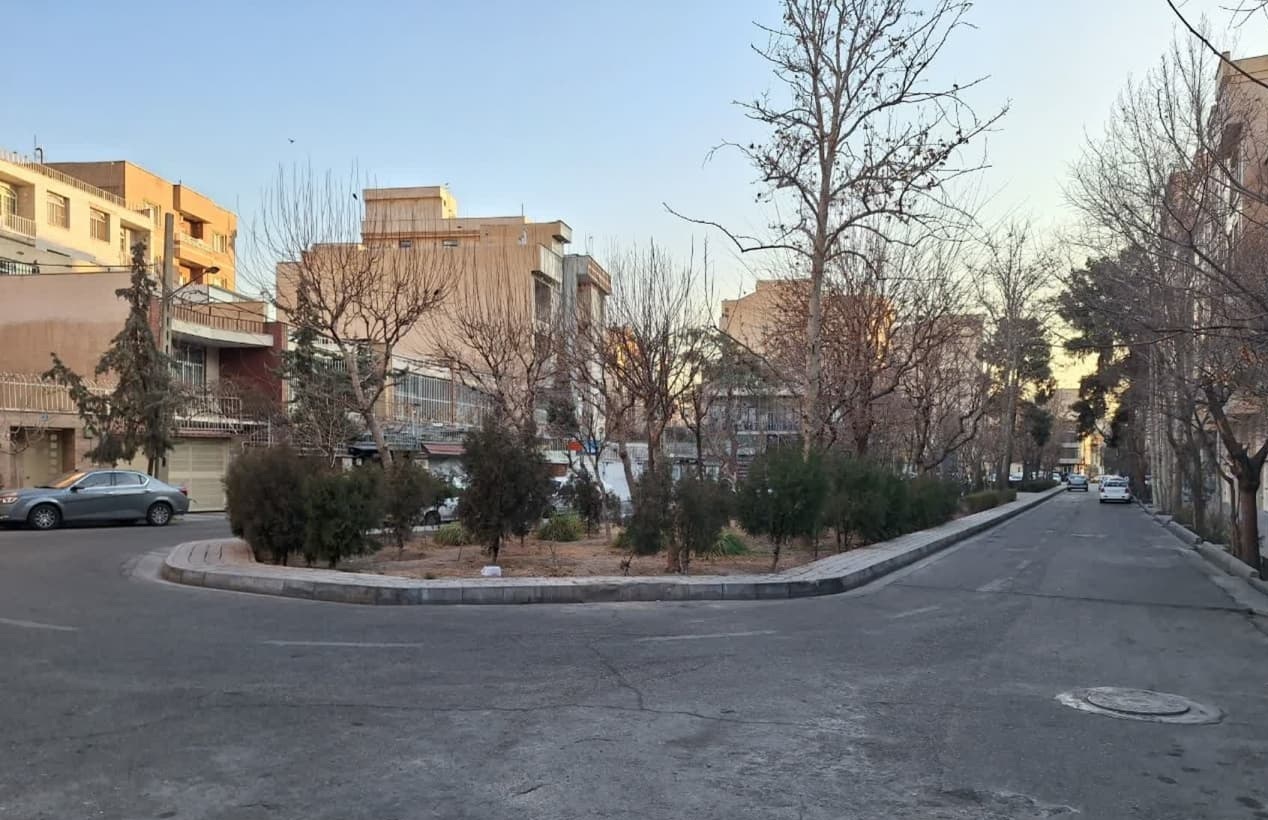 قلع و قمع درختان در خیابان کارگر تهران