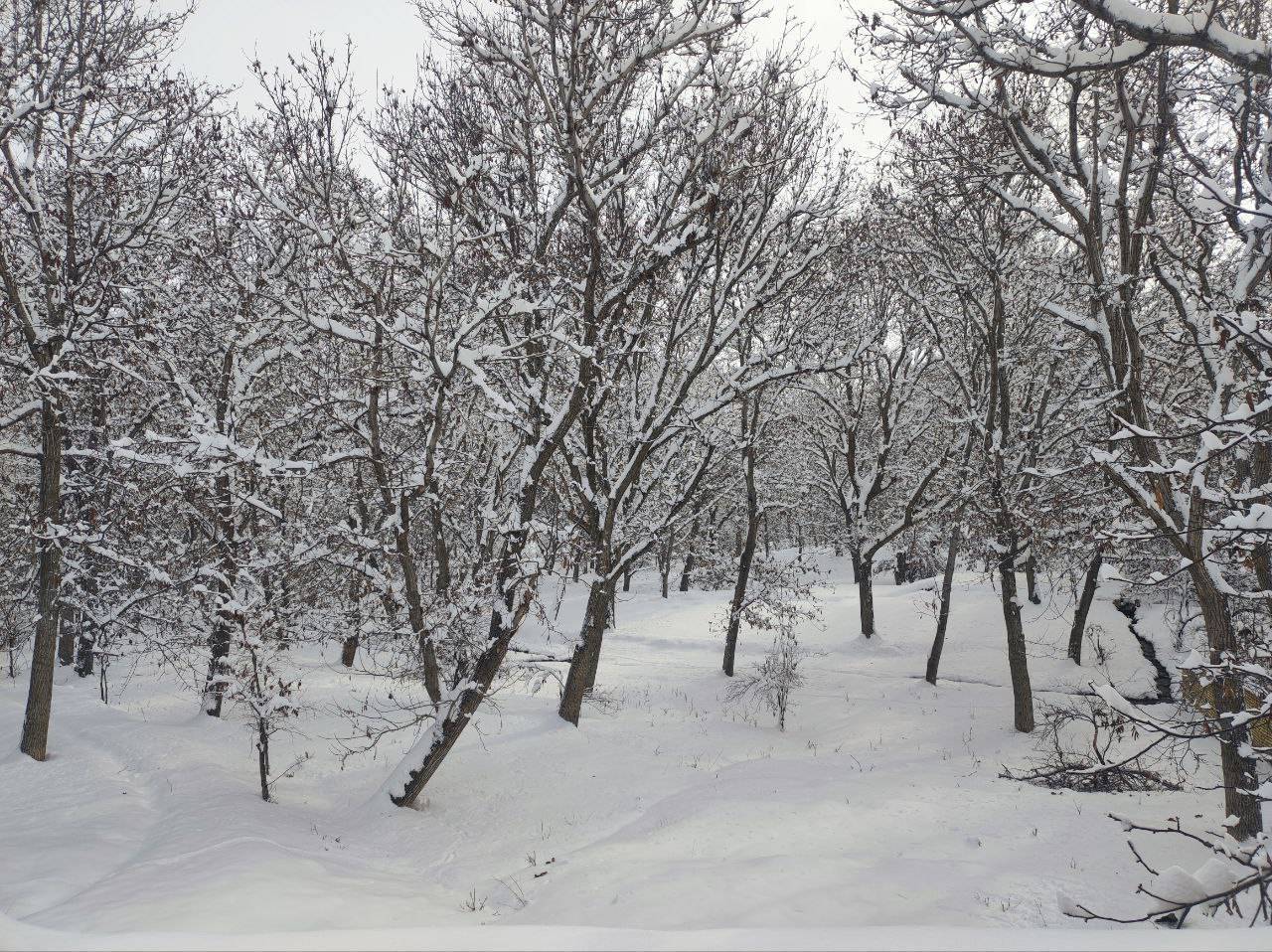 رخت سپید بر تن روستای گردشگری توآباد