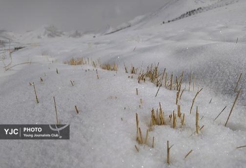 مناظر برفی زیبا در سلسله+فیلم