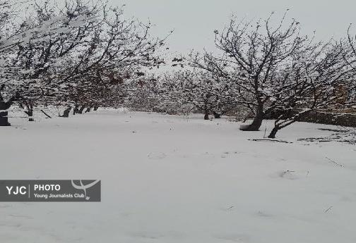 مناظر برفی زیبا در سلسله+فیلم