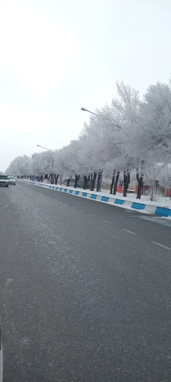 منظره برفی