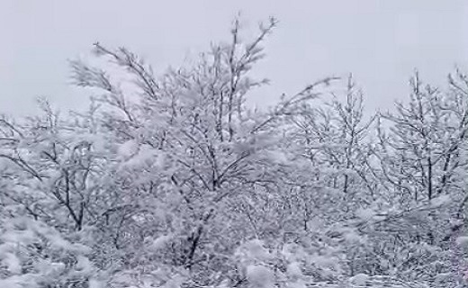 برف لبخند زمستان است + تصاویر