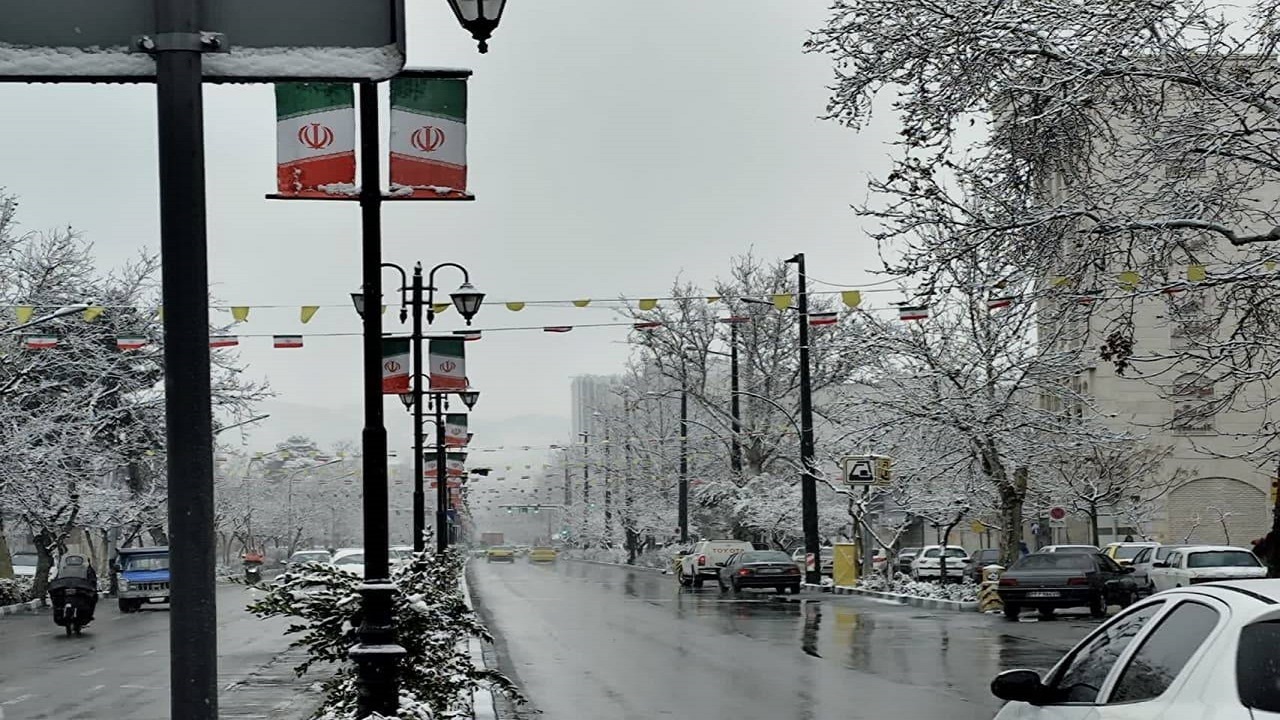 تصاویری از خودنمایی شکوفه های برفی در طبیعت زمستانی تهران