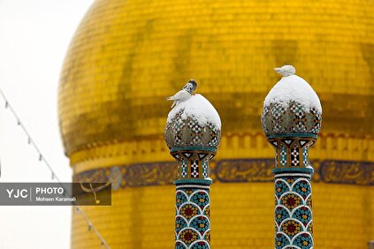 بارش نخستین برف زمستانی در قم