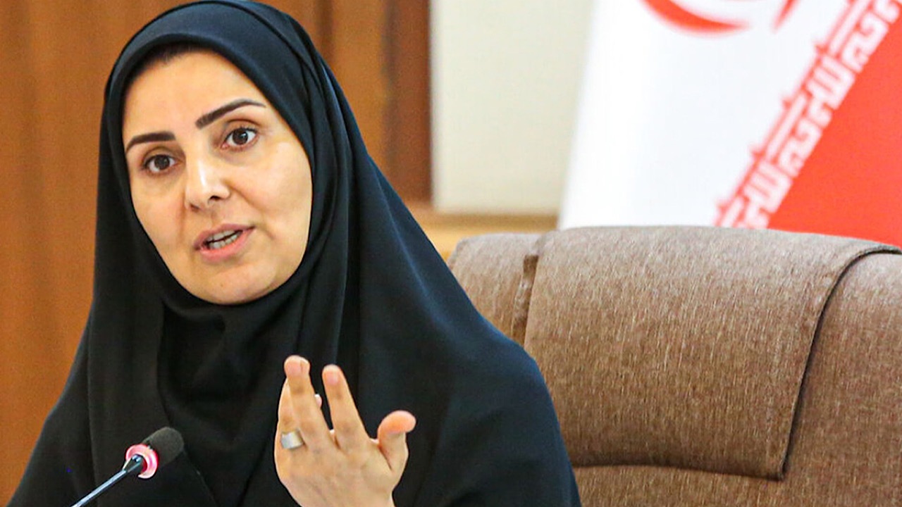 تشریک مساعی جهت برگزاری هفدهمین اجلاس وزرای حمل‌ونقل تراسیکا در تهران