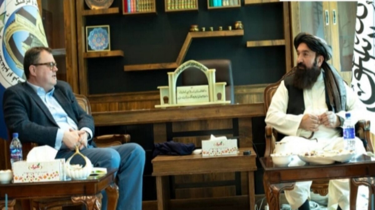 برخورد کشتی باربری با حیاط خانه! + فیلم