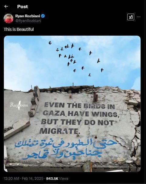 حتی پرندگان غزه هم مهاجرت نمی&zwnj;کنند!