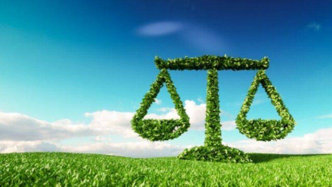 حکم سبز قاضی دادگاه موچش برای شکارچی کبک ها