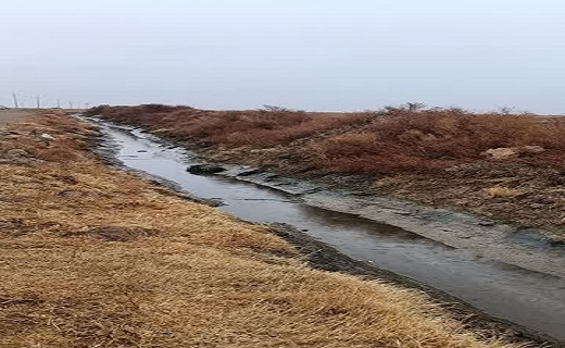 ورود دادستانی به ماجرای پساب روستای ملک آباد قم