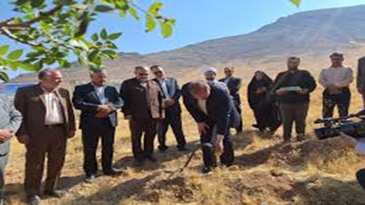مهریز، پیشگام تولید نهال در کشور + فیلم