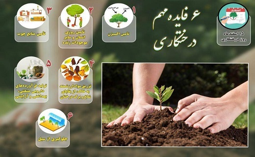 به دست خود درختی مینشانم به دست خود درختی مینشانم