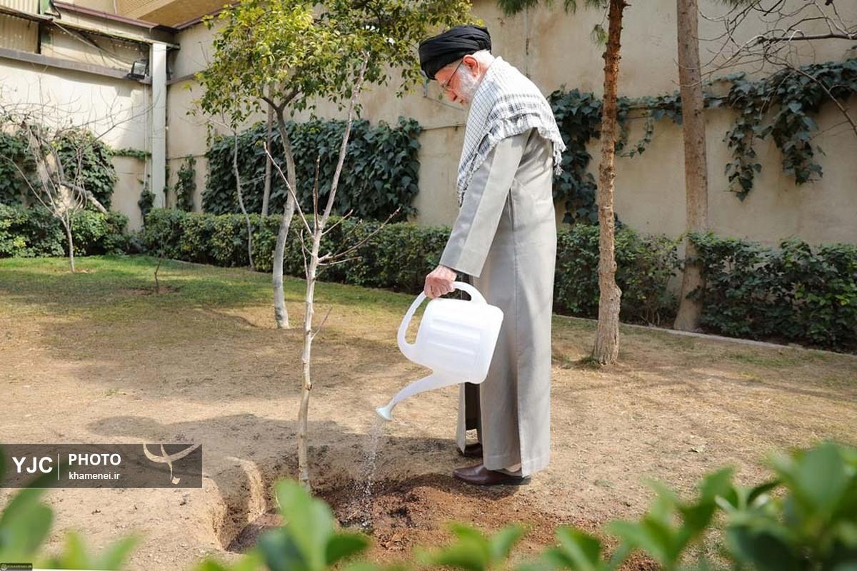 کاشت ۱۱۰ نهال سرو به یاد شهدای جنگ تحمیلی سوم