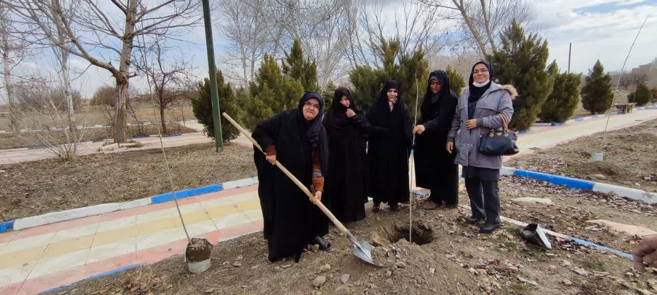 کاشت غرص نهال در صالح آباد
