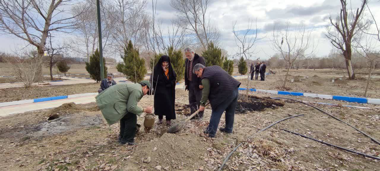 کاشت غرص نهال در صالح آباد همدان