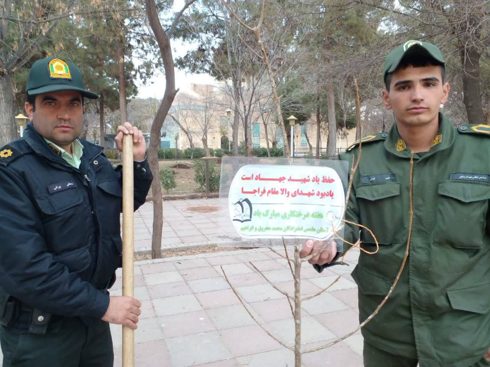 کاشت نهال