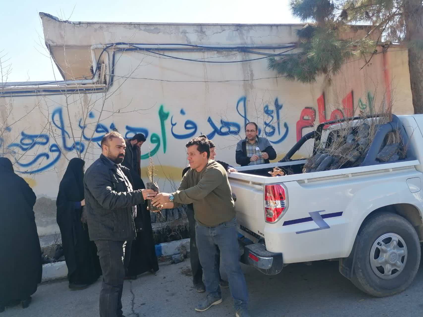 توزیع نهال توزیع نهال