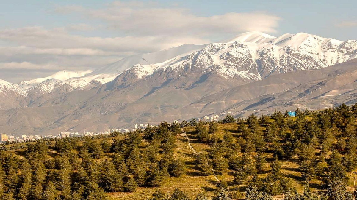 باشگاه خبرنگاران -۲۰ هکتار کمربند سبز بجنورد درختکاری شد
