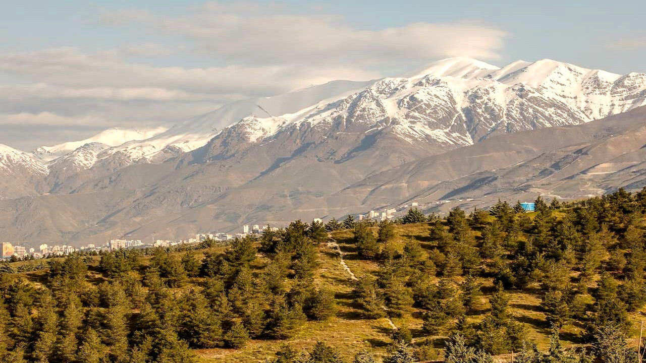 ۲۰ هکتار کمربند سبز بجنورد درختکاری شد