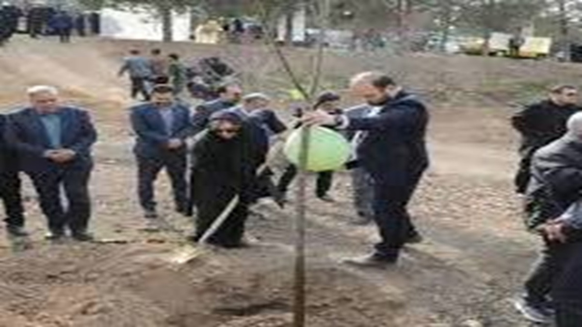 مهریز، پیشگام تولید نهال در کشور + فیلم