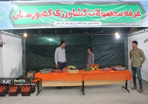 گزارش تصویری از جشنواره گوجه فرنگی در کهورستان گزارش تصویری از جشنواره گوجه فرنگی در کهورستان