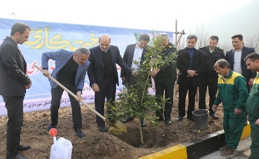 حفظ سرسبزی گیلان در گرو کاشت و داشت درختان حفظ سرسبزی گیلان در گرو کاشت و داشت درختان