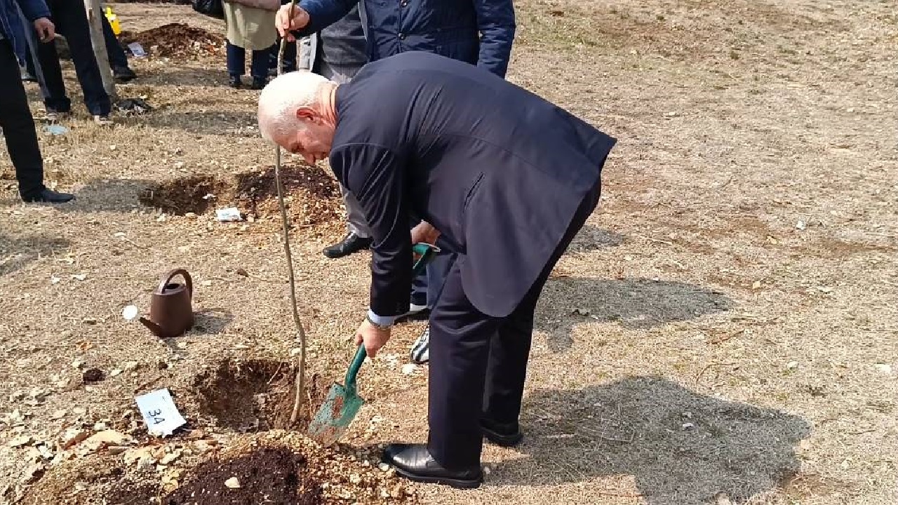 کاشت ۱۰۰ اصله درخت در زمین گلف مجموعه ورزشی انقلاب