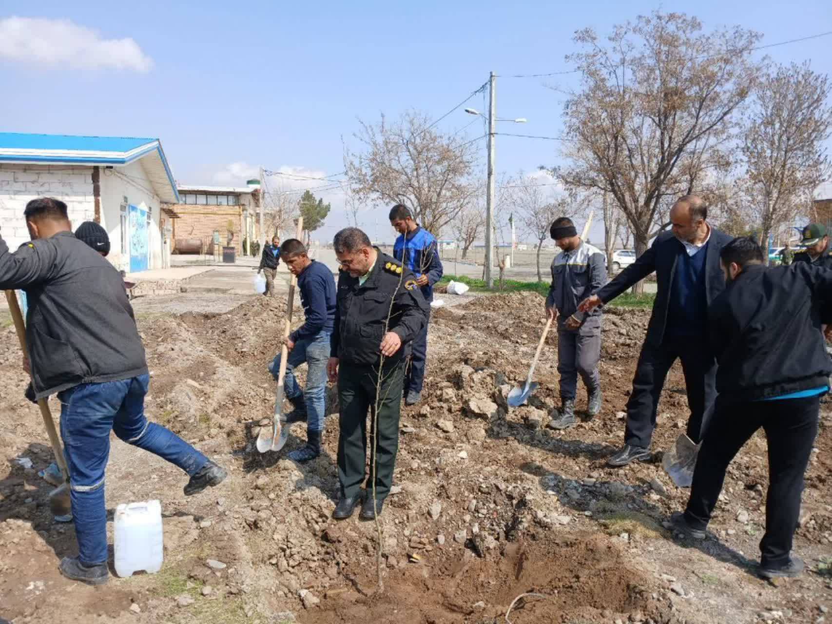 کاشت ۱۰۶ نهال به نیت شهدای فراجای شهرستان نیشابور