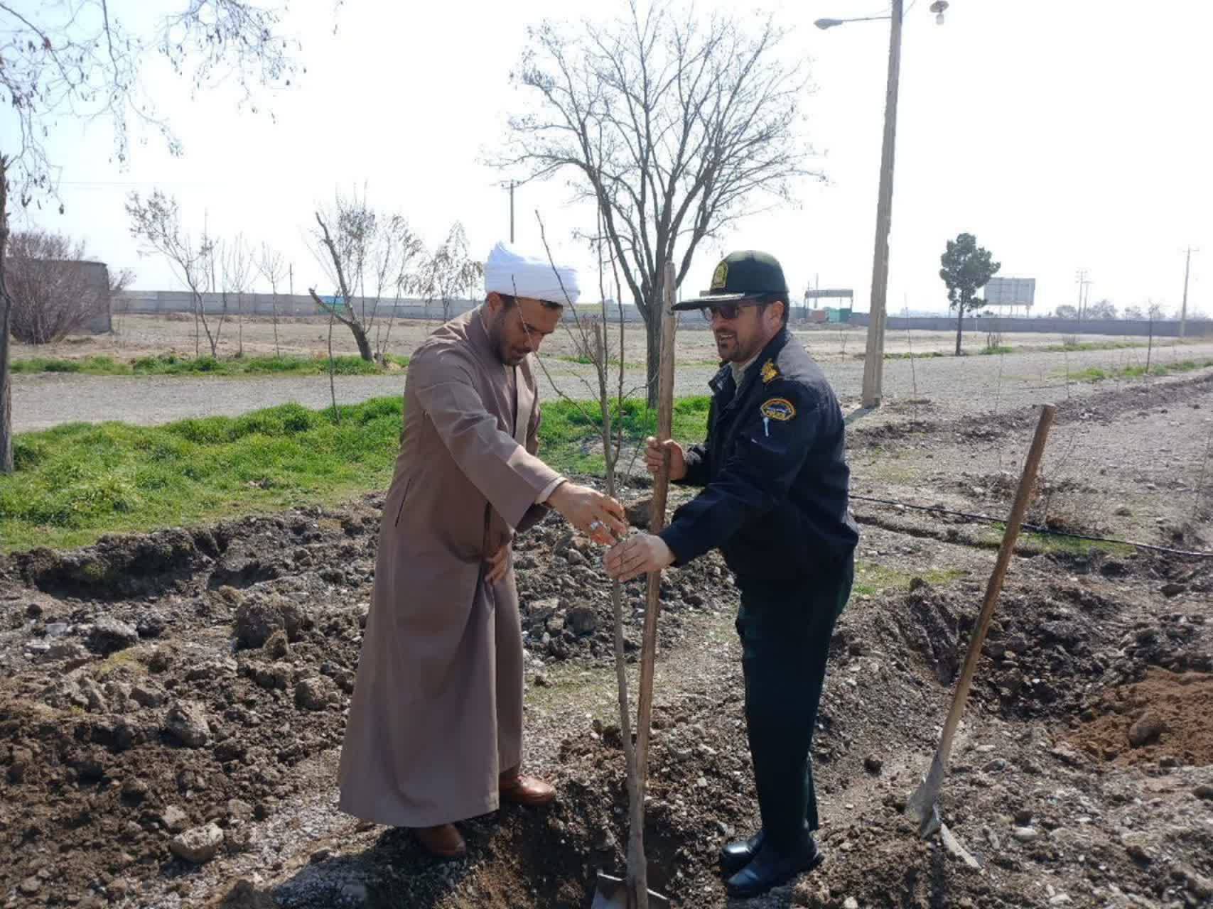 کاشت نهال در نیشابور به مناسبت هفته درختکاری
