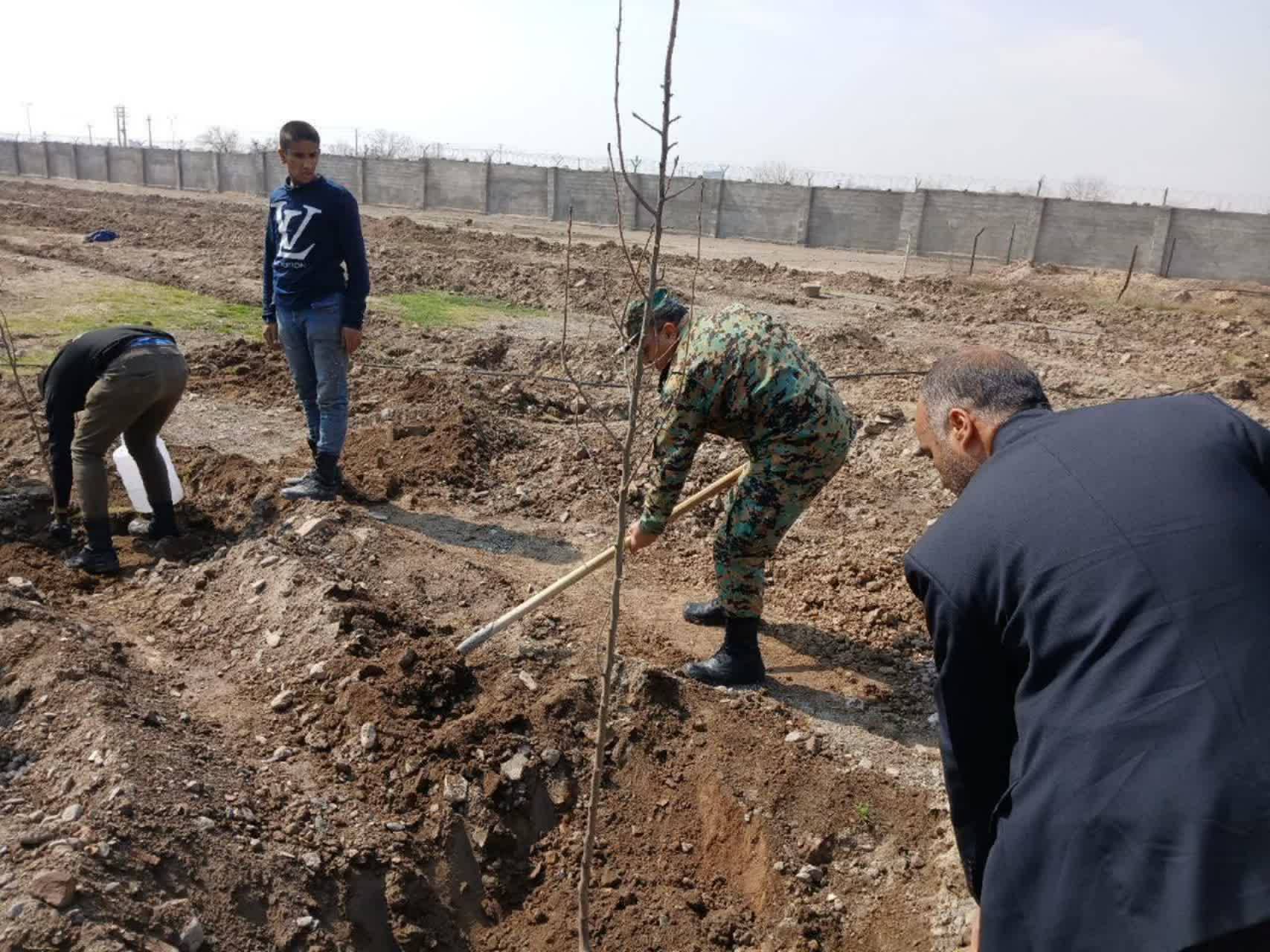 کاشت نهال در نیشابور