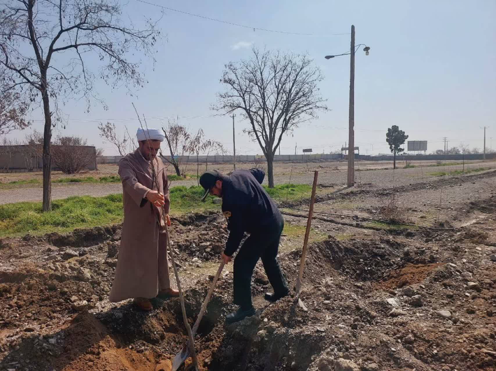 کاشت نهال به مناسبت هفته درختکاری