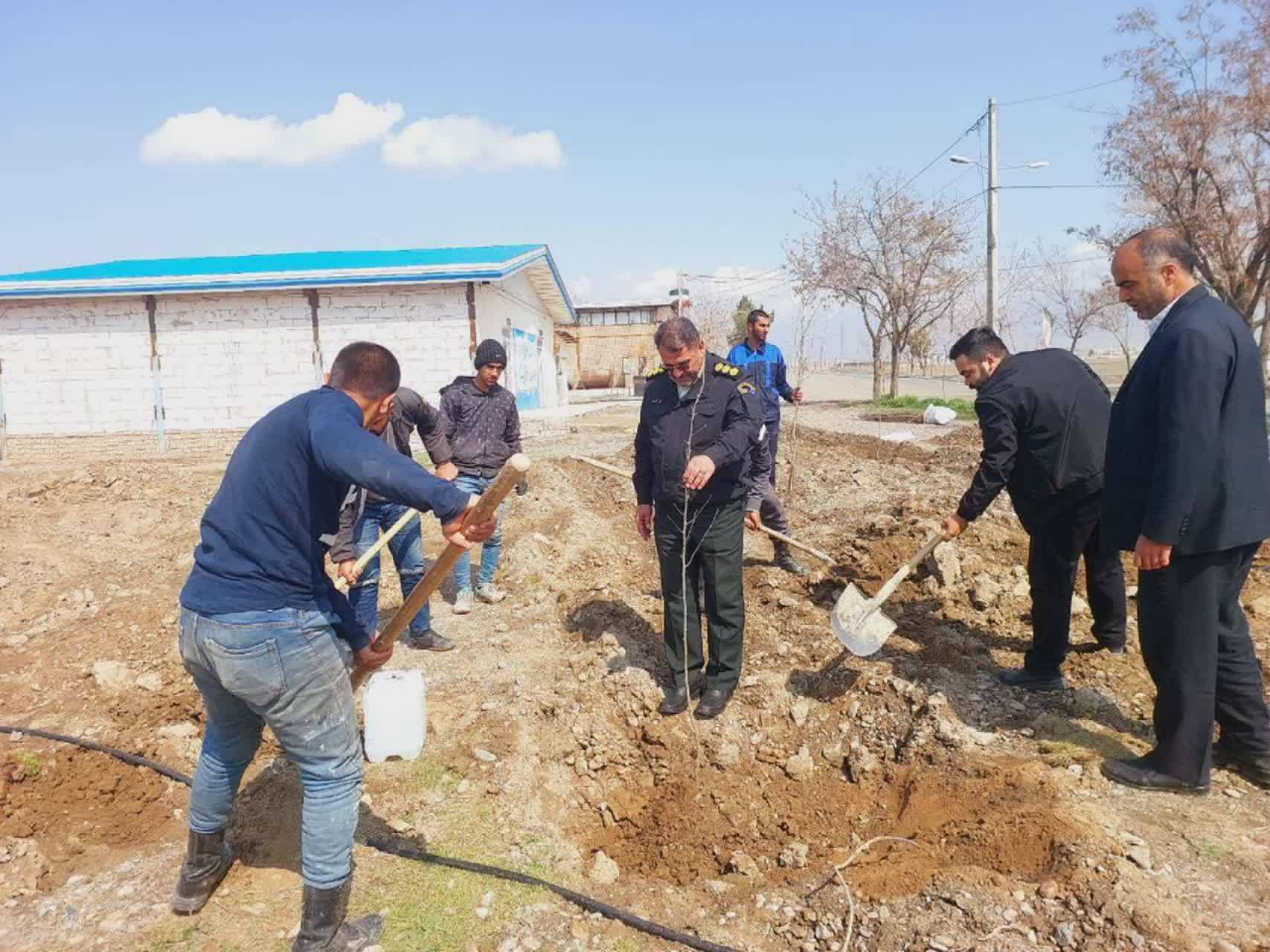 کاشت نهال در نیشابور