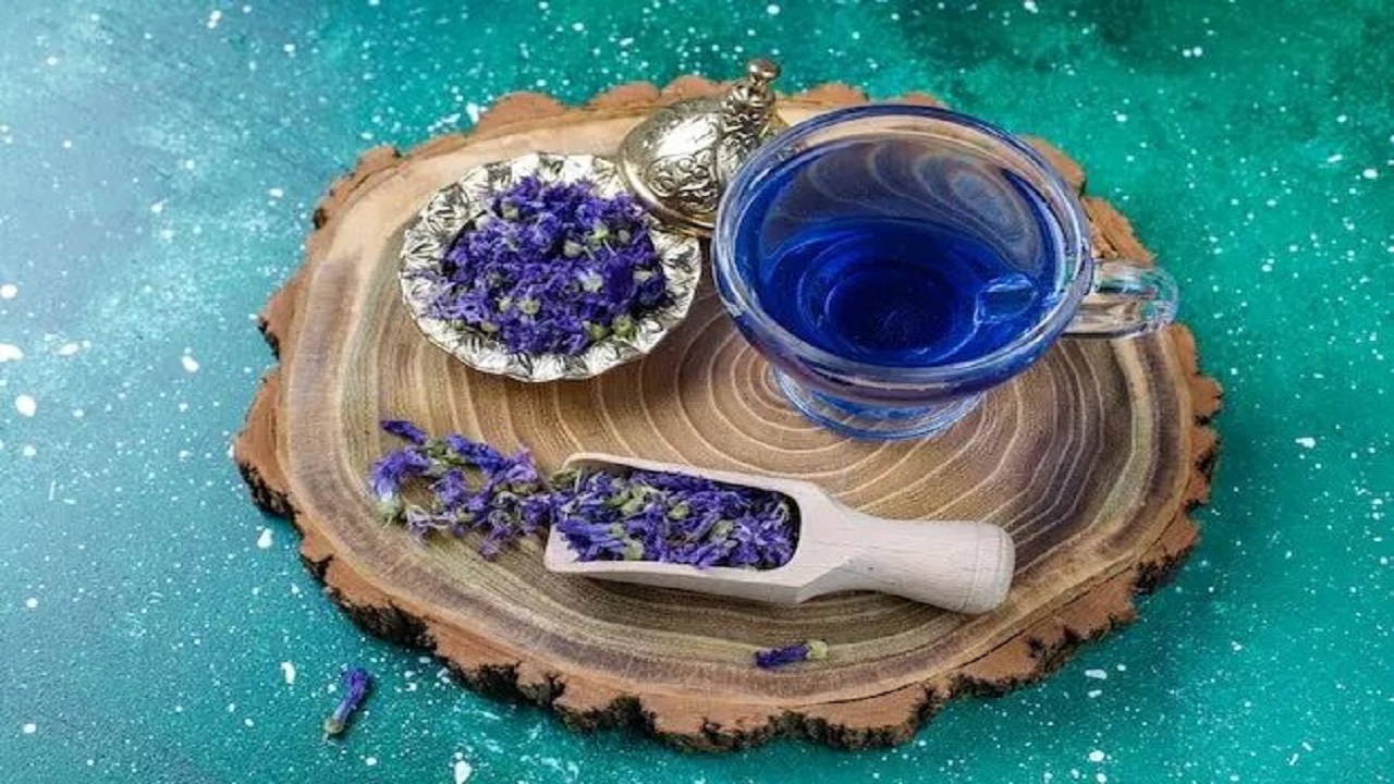 گلی با خواص شفابخشی