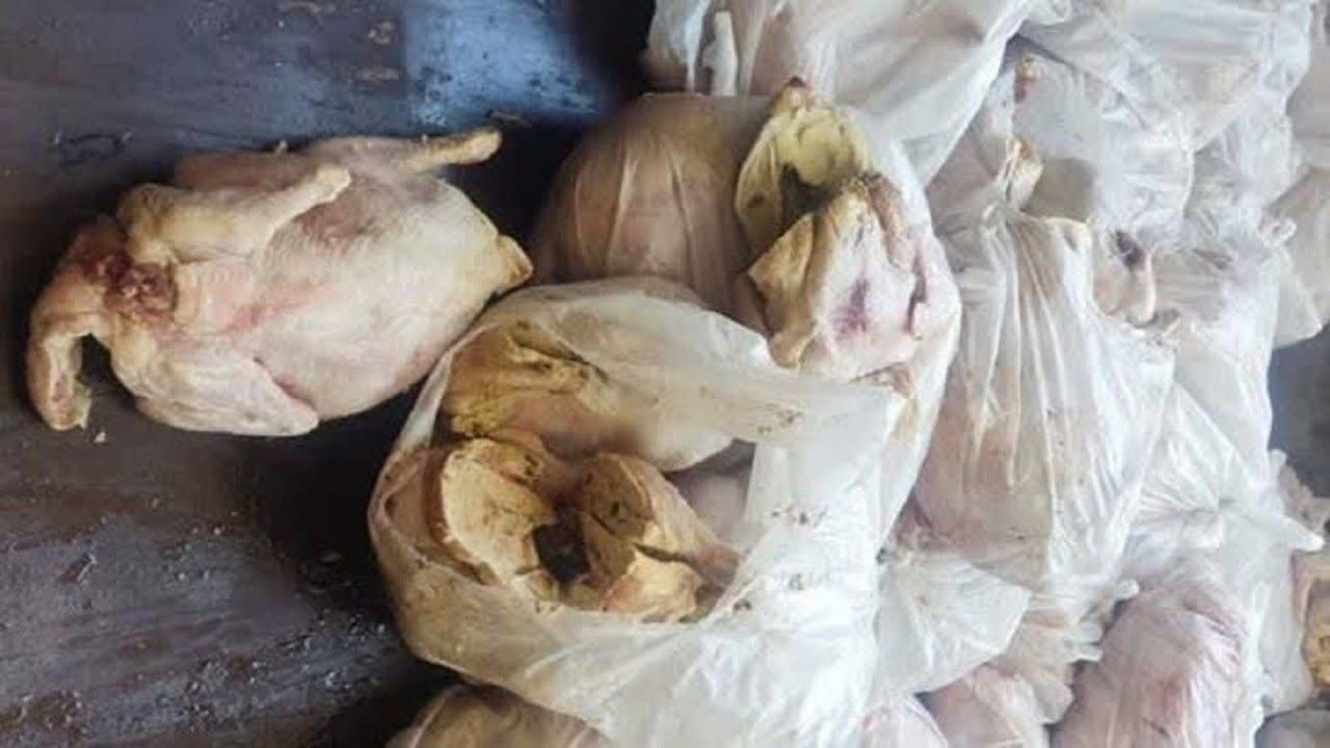 باشگاه خبرنگاران -کشف بیش از یک هزار و ۵۴۰ کیلو مرغ غیرقابل مصرف در خرمدره