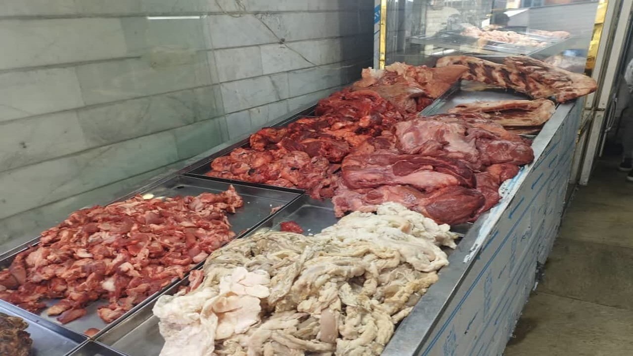 ۲۴۵ کیلوگرم فرآورده گوشتی فاسد در البرز معدوم شد