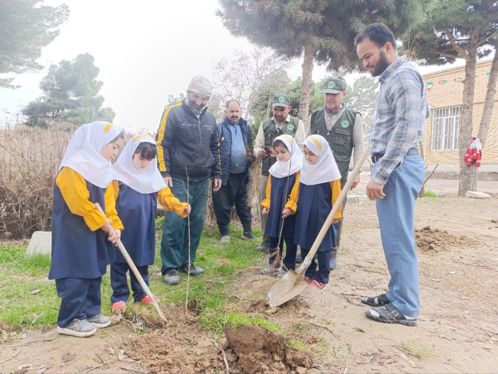 کاشت نهال توسط کودکان و نو نهالان