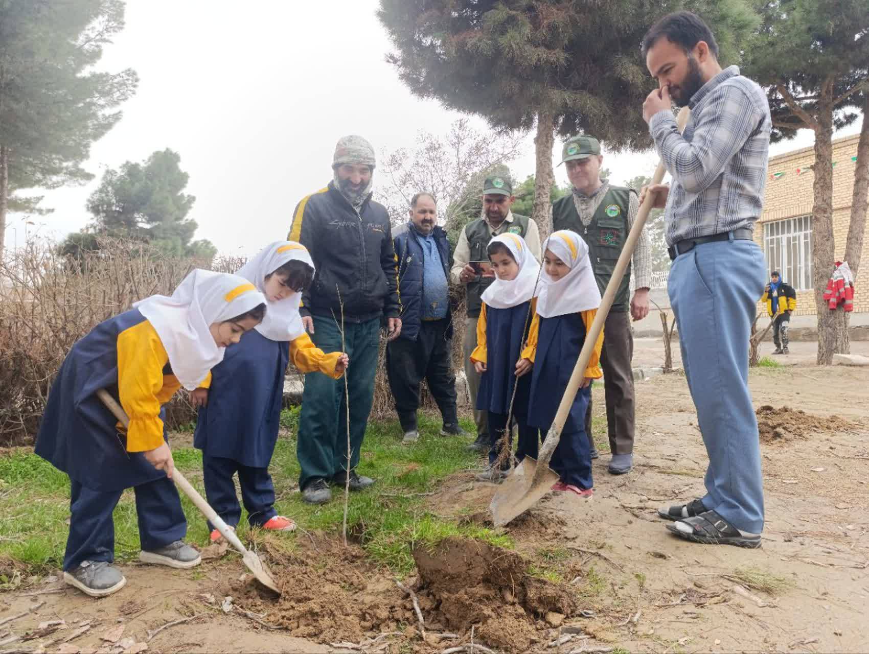 کاشت نهال توسط کودکان و نو نهالان