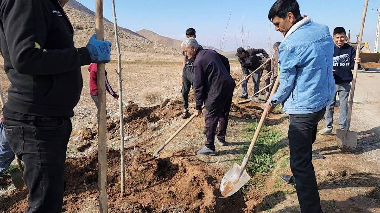 کاشت ۴۰۰ اصله درخت در ورودی روستای سردر بخش چترود