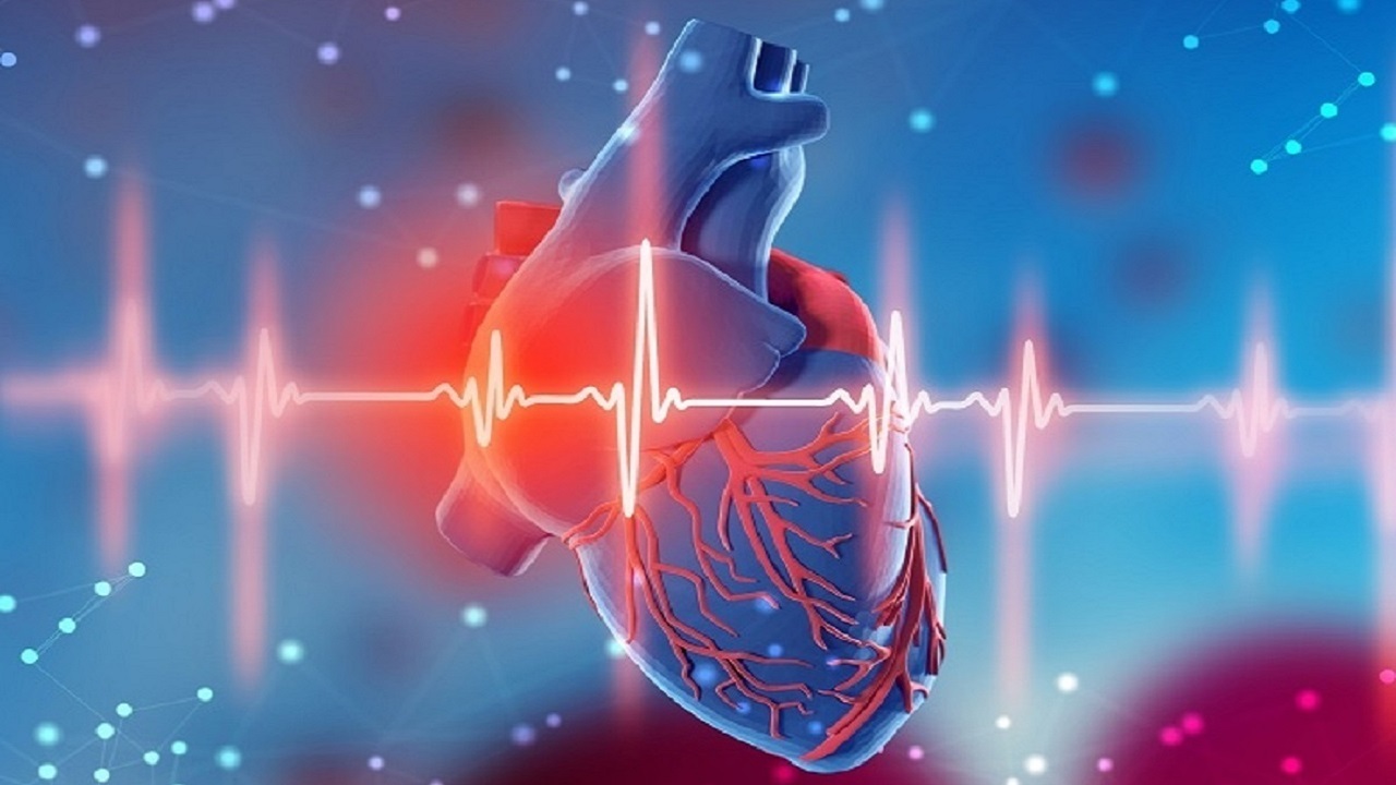 آمدن بهار بر عملکرد قلب چه تاثیری می‌گذارد؟