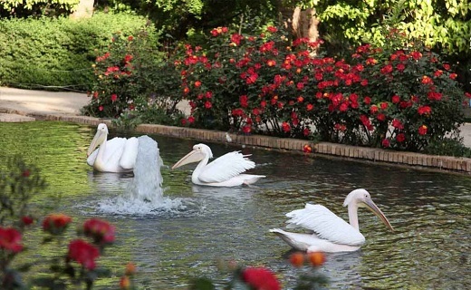 باغ گلشن