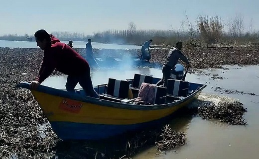 پاکسازی زیر پل نهنگ روگای انزلی از سنبل آبی