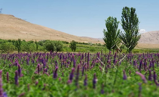 با گنجینه های طبیعی استان چهارمحال و بختیاری آشنا شوید/گنجینه&zwnj; های ارزشمند در قلب چهارمحال و بختیاری
