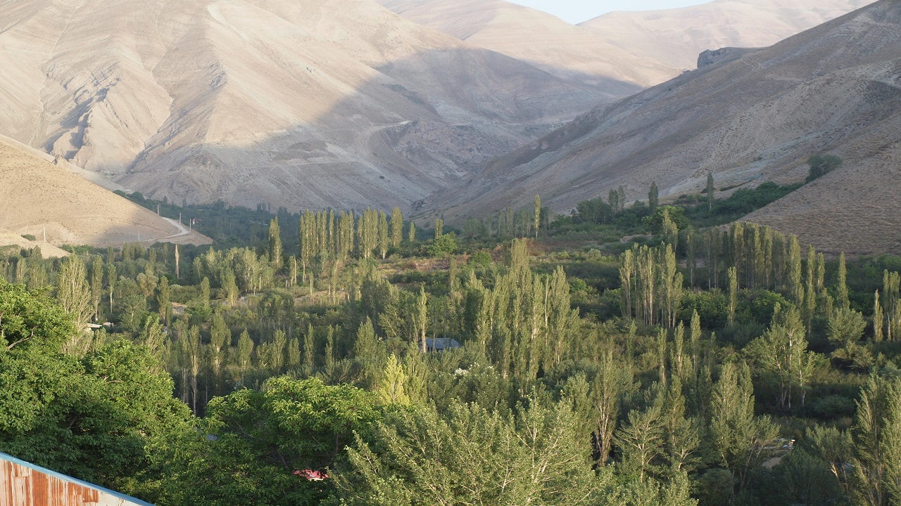 از طبیعت بکر البرز تا گشت و گذاری در همین حوالی