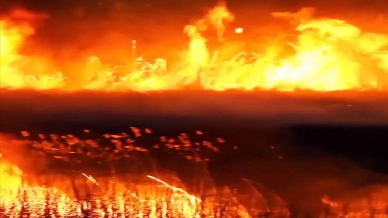 آتش سوزی در ۱۰ نقطه از دریاچه زریبار مریوان
