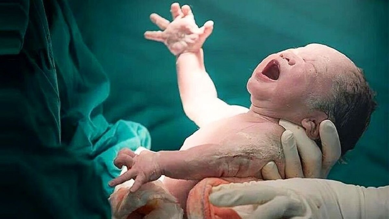 نوزاد عجول سردشتی در آمبولانس به دنیا آمد